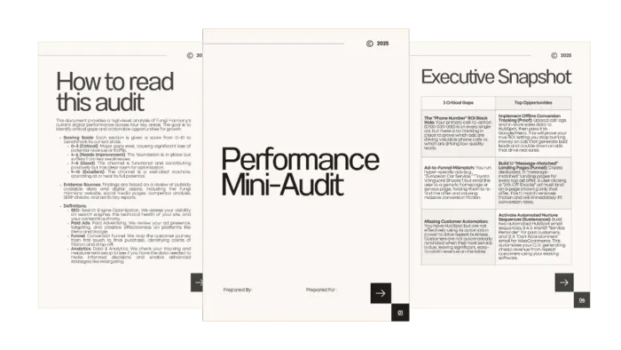 Performance Mini-Audit Preview